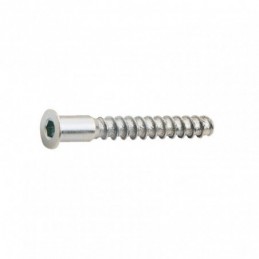 Tornillo ensamblar EHS...