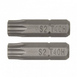 PUNTAS 25MM.TORX SEG.T20...