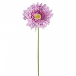 Vara gerbera lila, 36 unidades