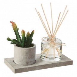 Caja aromas con planta...