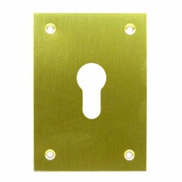 PLACA TROQUEL LAT.PUL 70X100
