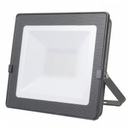 Foco LED alta potencia 100...