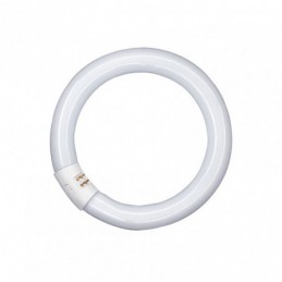 FLUORESCENTE CIRCULAR T9...