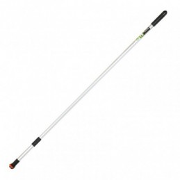 Mango extensible...