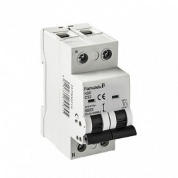 MAGNETOTÉRMICO 1P+N 25...