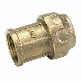 Racor recto hembra PE/H...