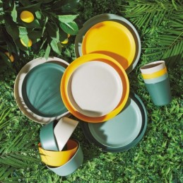 JGO. 24 PLATOS PLAST. 20CM...
