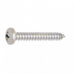 TORNILLO DIN 7981 5.5X19