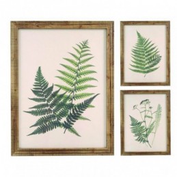 CUADRO 40X54 HELECHOS 3...