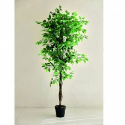 PLANTA ARTIFICIAL FICUS...