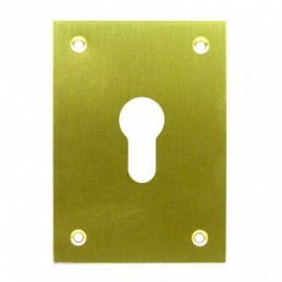 PLACA TROQUEL. LAT.PUL 80X80