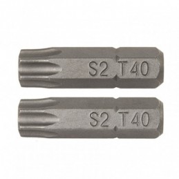 PUNTAS 25MM.TORX N.25 JGO.2...