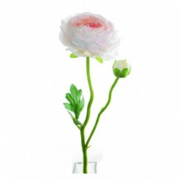 VARA RANUNCULO ROSA