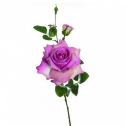 VARA ROSA ALICIA FUCSIA