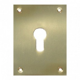 Placa bocallave MICEL...